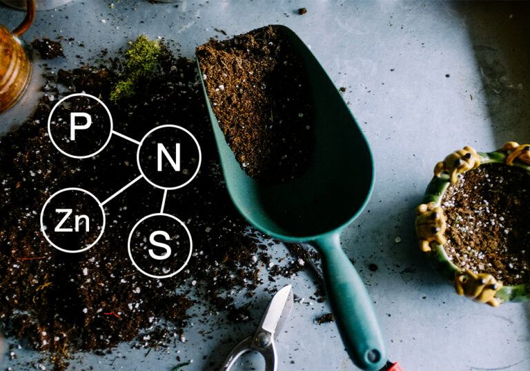 Macronutrients vs Micronutrients for Plants