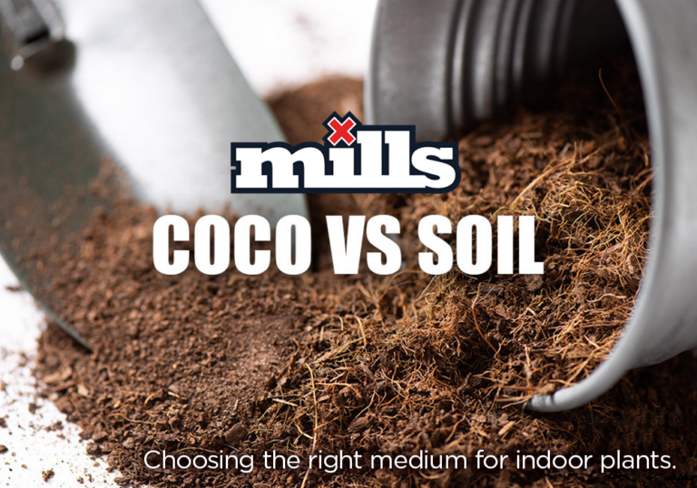 Coco vs Soil BH01