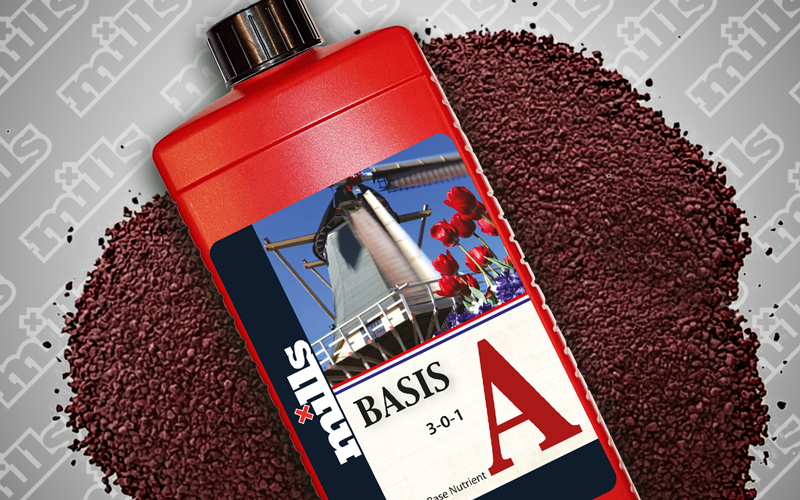 Basis A Red Iron BF
