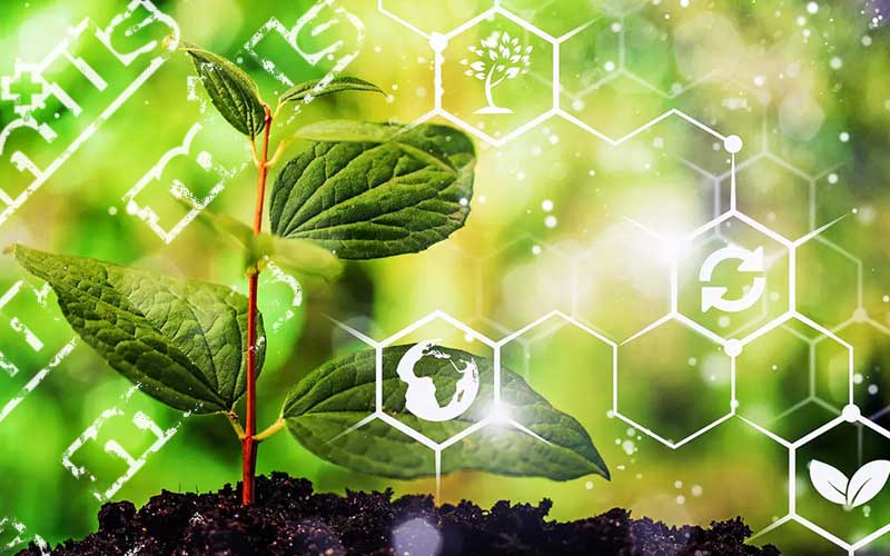 Biochemistry in plants