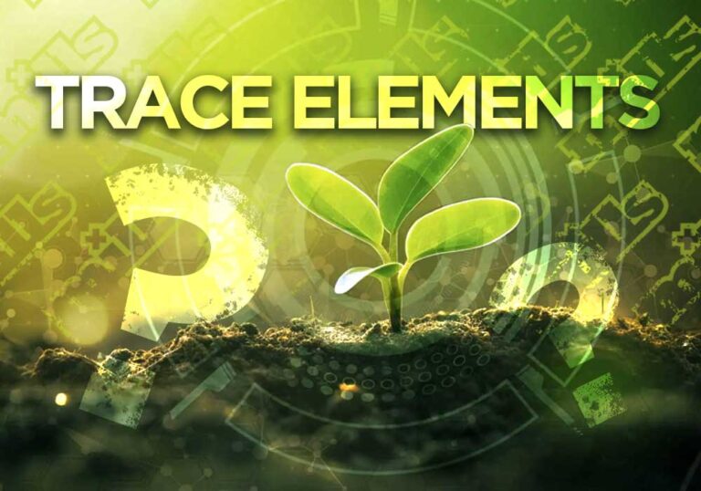 Trace Elements