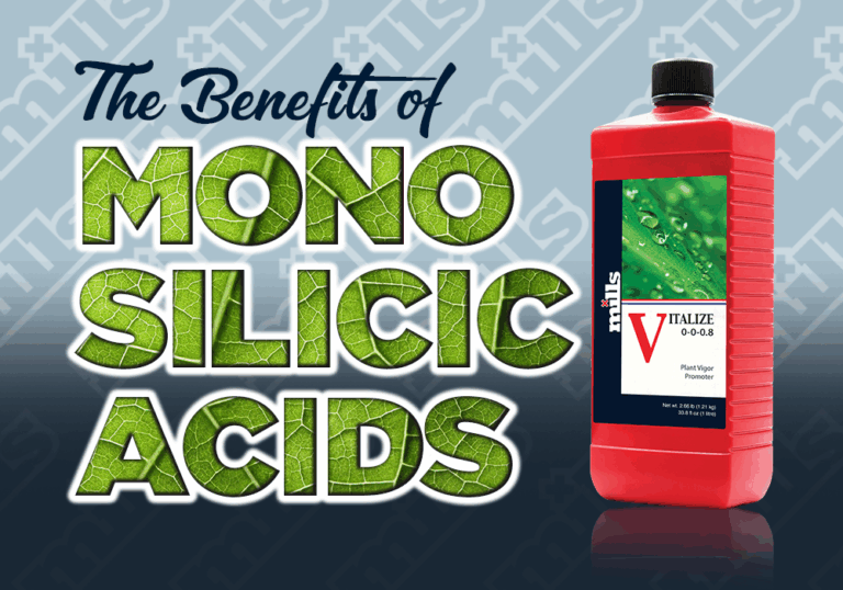 benefits of monosilicic acids
